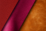 Picture of Vibrant Color
