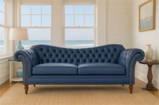 Picture of sofa 5