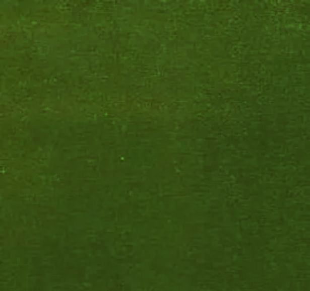 green leather