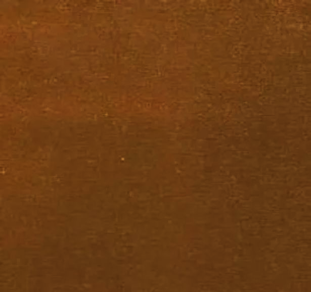 tan leather