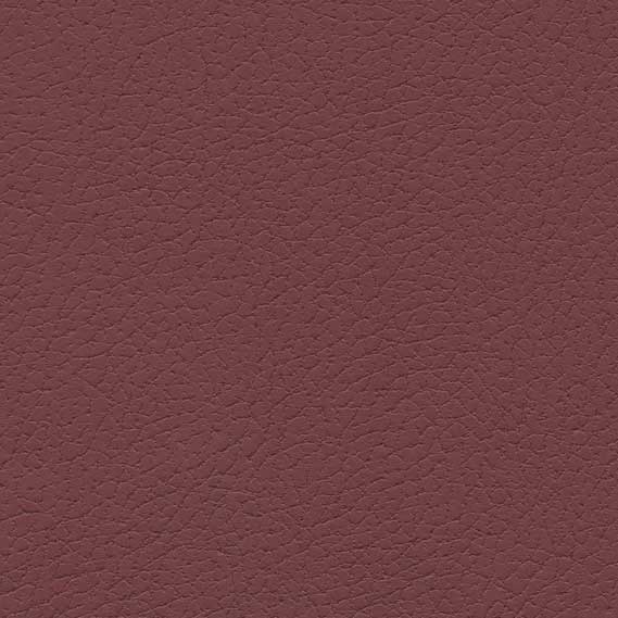 Brisa Beet Root