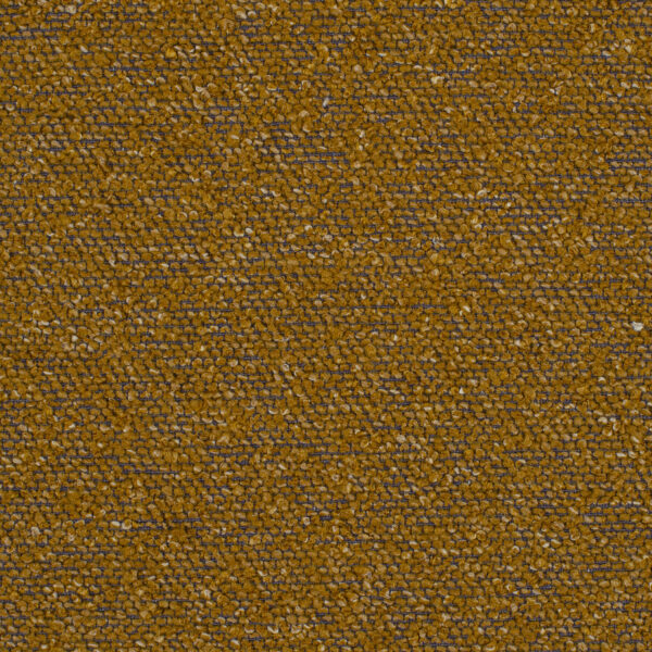 Carlisle Mustard