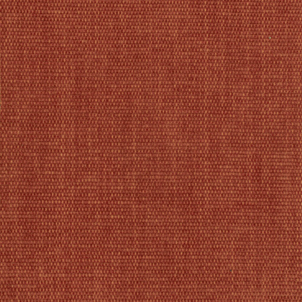Chrystie Coral