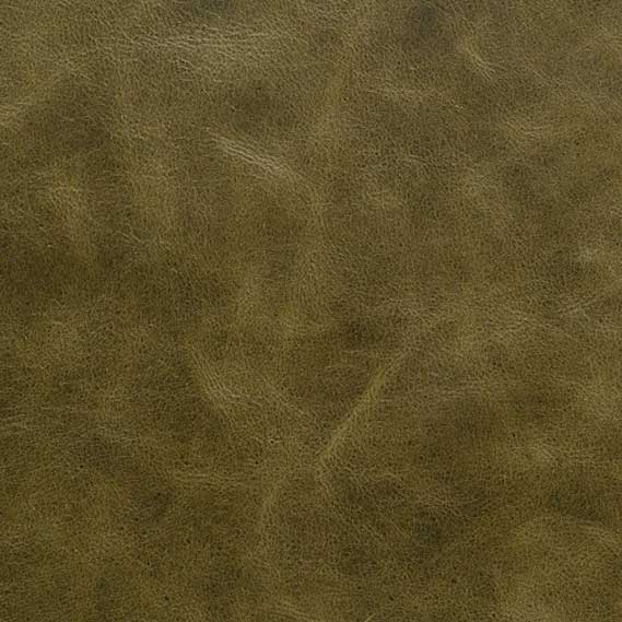 Berkshire Moss