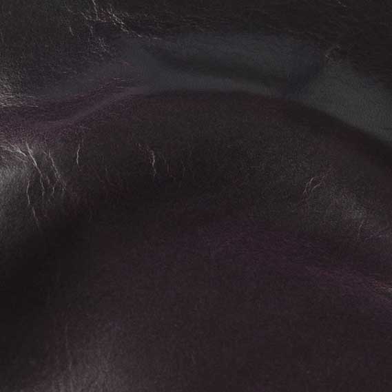 Echo Aubergine