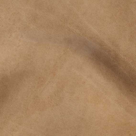Echo Taupe