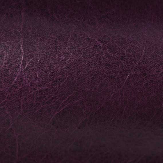 Mont Blanc Amethyst