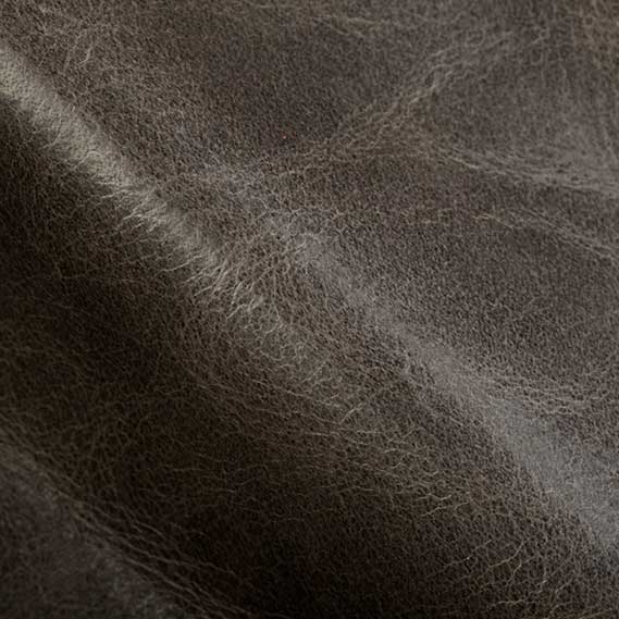Mont Blanc Wolf