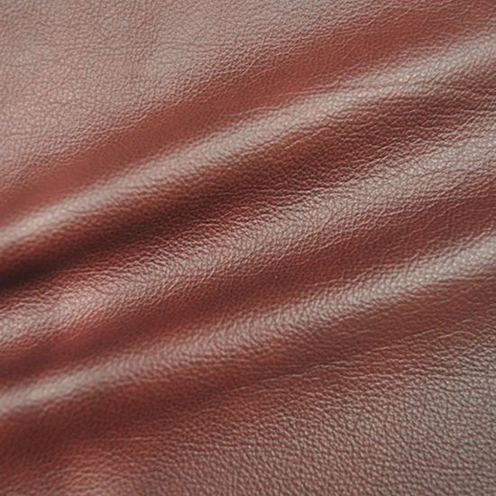 Carezza Shy, Leather