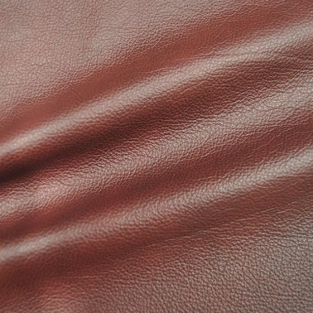 Carezza Shy, Leather