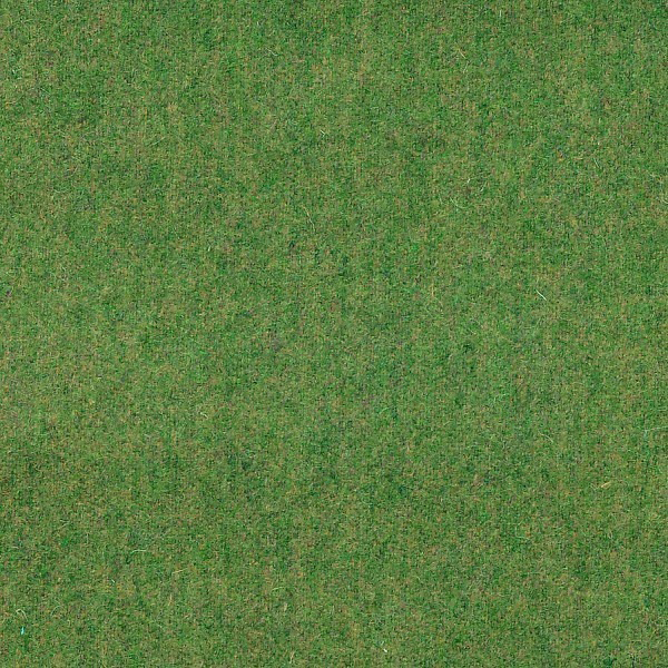 Perry Wool Grass