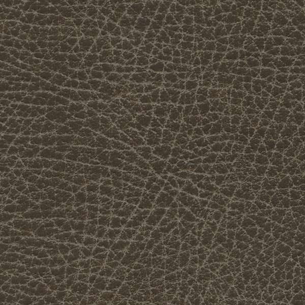 Brisa Distressed Bison