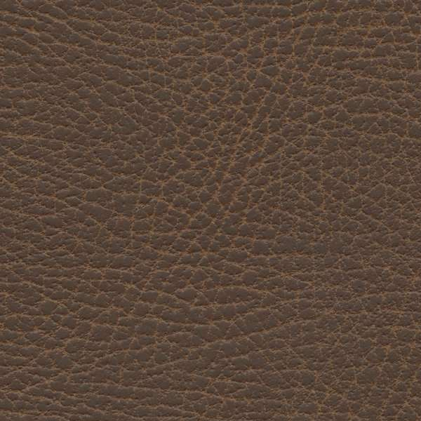 Brisa Distressed Bridle