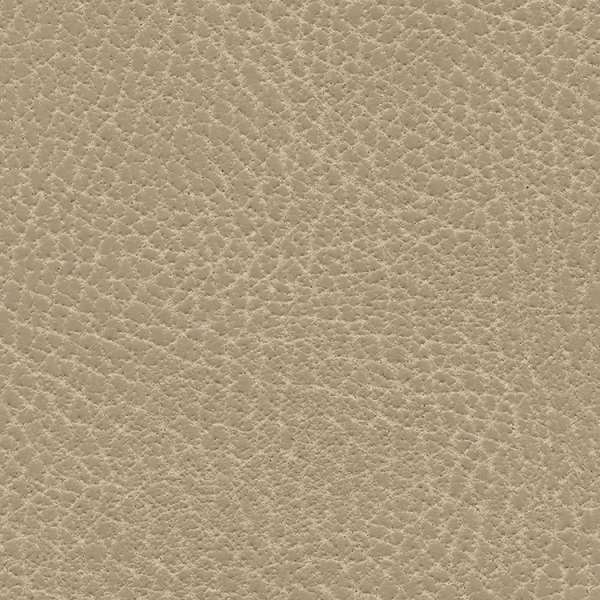 Brisa Distressed Desert Tan