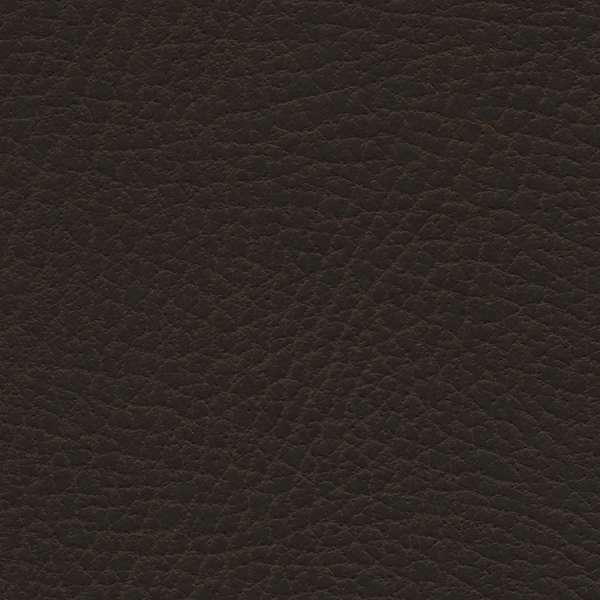 Brisa Distressed French Roast