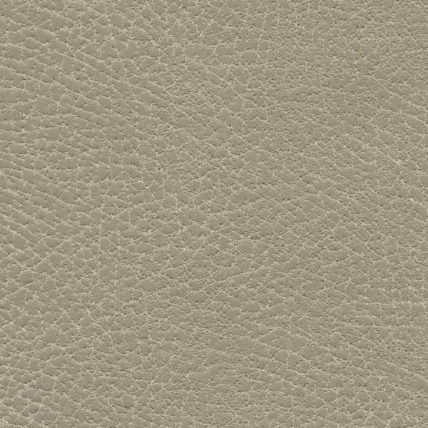 Brisa Distressed Muslin
