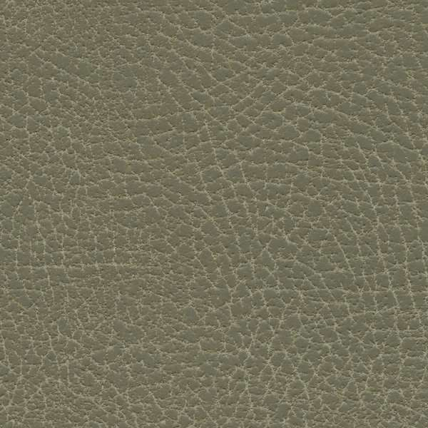 Brisa Distressed Prairie