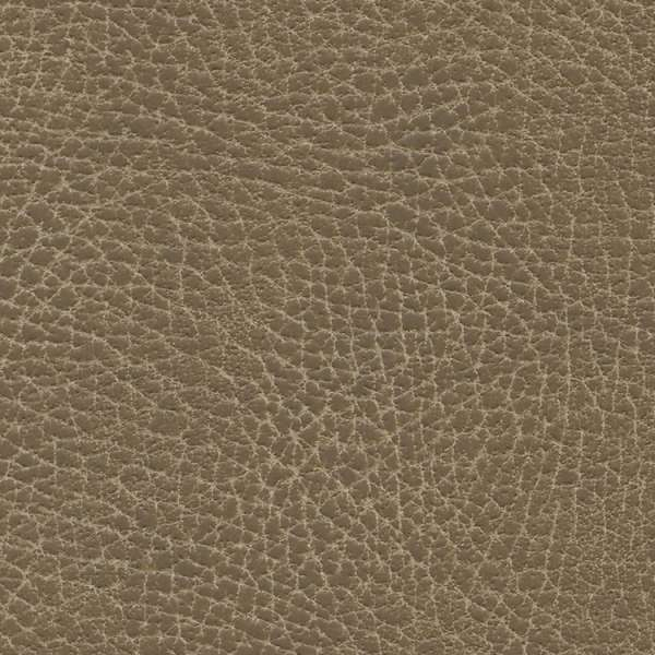 Brisa Distressed Saddle