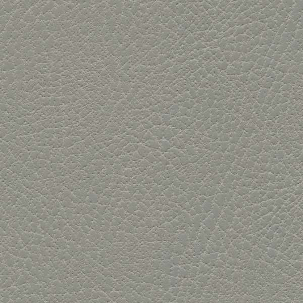 Brisa Distressed Shield
